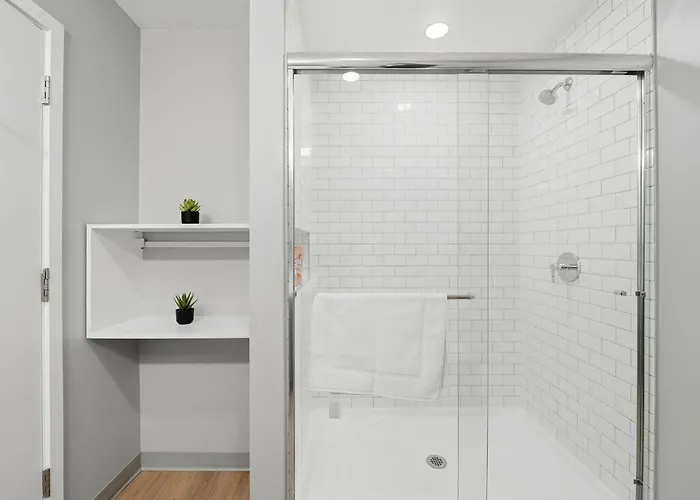 Envitae 4br Modern Sleek Chicago